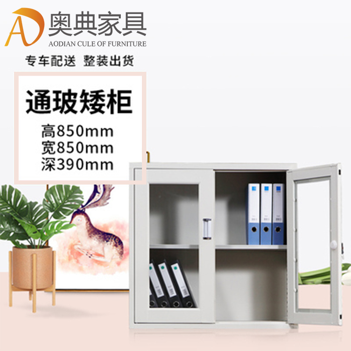 通玻璃矮文件柜-13
